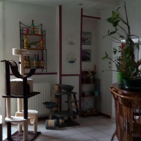 Chez Laurence
